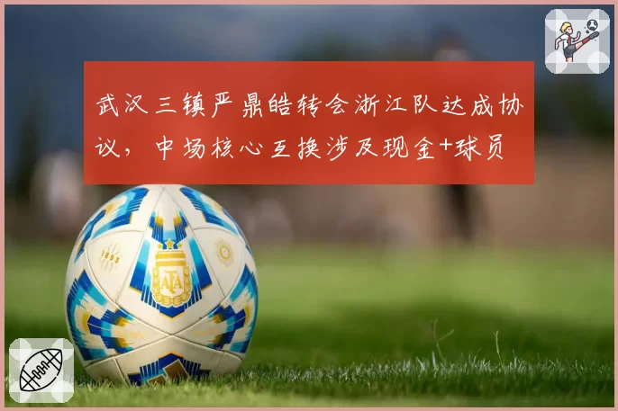 武汉三镇严鼎皓转会浙江队达成协议,中场核心互换涉及现金+球员
