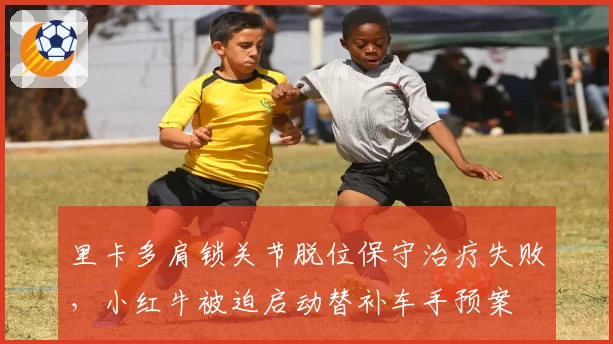 里卡多肩锁关节脱位保守治疗失败，小红牛被迫启动替补车手预案
