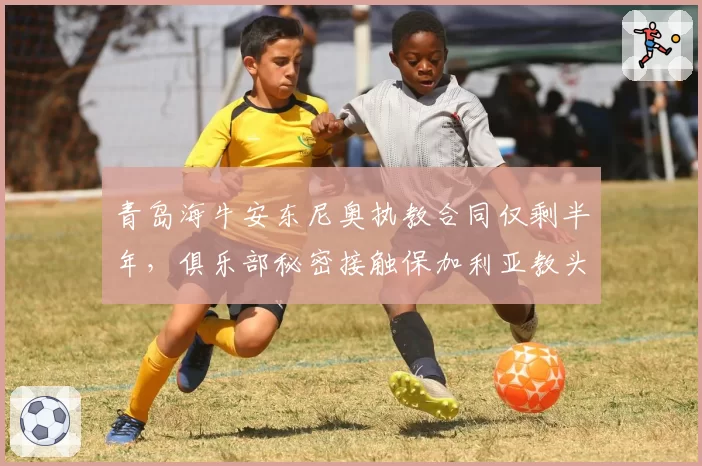 青岛海牛安东尼奥执教合同仅剩半年，俱乐部秘密接触保加利亚教头